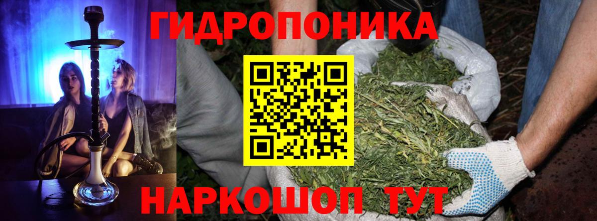 Бошки Шишки OG Kush Нефтекумск
